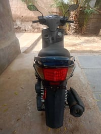 سكنس فحل