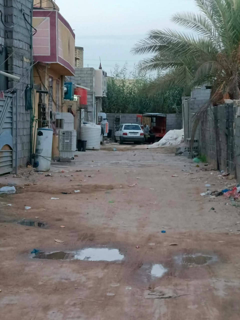شبانات بزل • ١٠٠م • مباشر