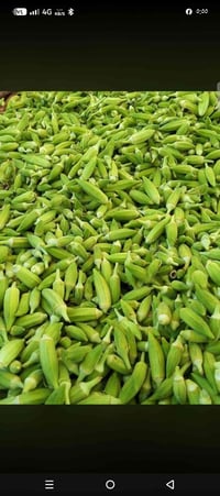 بانيه الكاط • توصيل • حجز