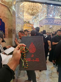 كربلاء • كوستر • توصيل للبيت