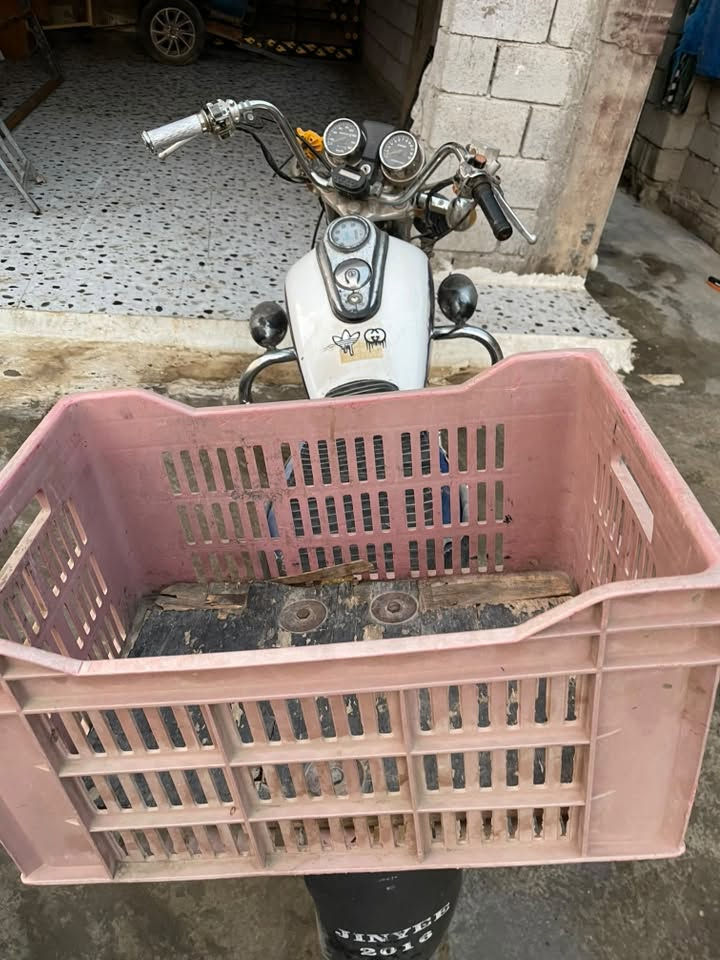جني • موديل ١٦ • اوراق كاملة