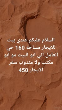 حي العامل • ١٦٠م • مالك مباشر