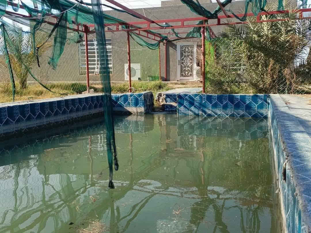 بيع مستعجل وبسعر مناسب جدا أقرا المنشور للأخير ذاكر كافة التفاصيل  علمأ مفوضة بالطابو تحتاج فقط عدد من النخيل والاشجار وتتطوب
أسعد الله اوقاتكم أحبتي  ) ( أللهم صل على محمد وآل محمد

 ( عرض مميز للبيع مزرعة مساحة 7 #دونم عقد 35 علمأ العقد

 ينزل بأسمك مجدد لمده 5 سنوات المزرعة تحتوي على بيت 🏠

 مساحة 150 متر يتكون من استقبال وصاله وغرفه نوم 💤

 ومطبخ وصحيات +حديقة  + مسبح المزرعة مسيجة بالكامل مع

 اناره داير المزرعه بالكامل مزروعة اصناف جيده من انواع

 النخيل عدد من البرحي وعدد من المجهول والمكتوم انواع جيده

 عدد النخيل مايقارب 300 فسيله انواع #جيده  يوجد نهر

 للسقي مع 4 غطاسات ويوجد ايضا بئر للسقي داخل المزرعه

 العنوان #كربلاء شارع #بغداد الهأ مدخلين مدخل الأول من

 شارع المنشأ من مجمع #الكليني وتدخل ومدخل الثاني من

 شارع سيد #احمد تبعد عن مزار سيد احمد 1 كيلو وتبعد عن

 شارع #بغداد 3 كيلو منطقة هادئة جدا تصلح سكن أو ترفيهي)

 ( #السعر النهائي بدون اي تفاوض  )(   90   مليون 

 للإستفسار أكثر اتصلوا بالأرقام التالية)

 ( ***********  )

( ***********  ) أبو فاطمة عنوان المكتب شارع الحسينية

 قرب جسر 🌉 الإبراهيمية مقابل شارع عون مكتب 🏢@مكتب النافعي للعقارات -كربلاء    مكتب النافعي للعقارات كربلاء    @أبرز المعجبين 

 #اشاره #الاصدقاء #بغدادبصرةكوت النافعي للعقار 

( ‏‪***********‬‏ )( *********** )

بيع مستعجل وبسعر مناسب جدا أقرا المنشور للأخير ذاكر كافة التفاصيل  علمأ مفوضة بالطابو تحتاج فقط عدد من النخيل  @الجميع  @إشارة
