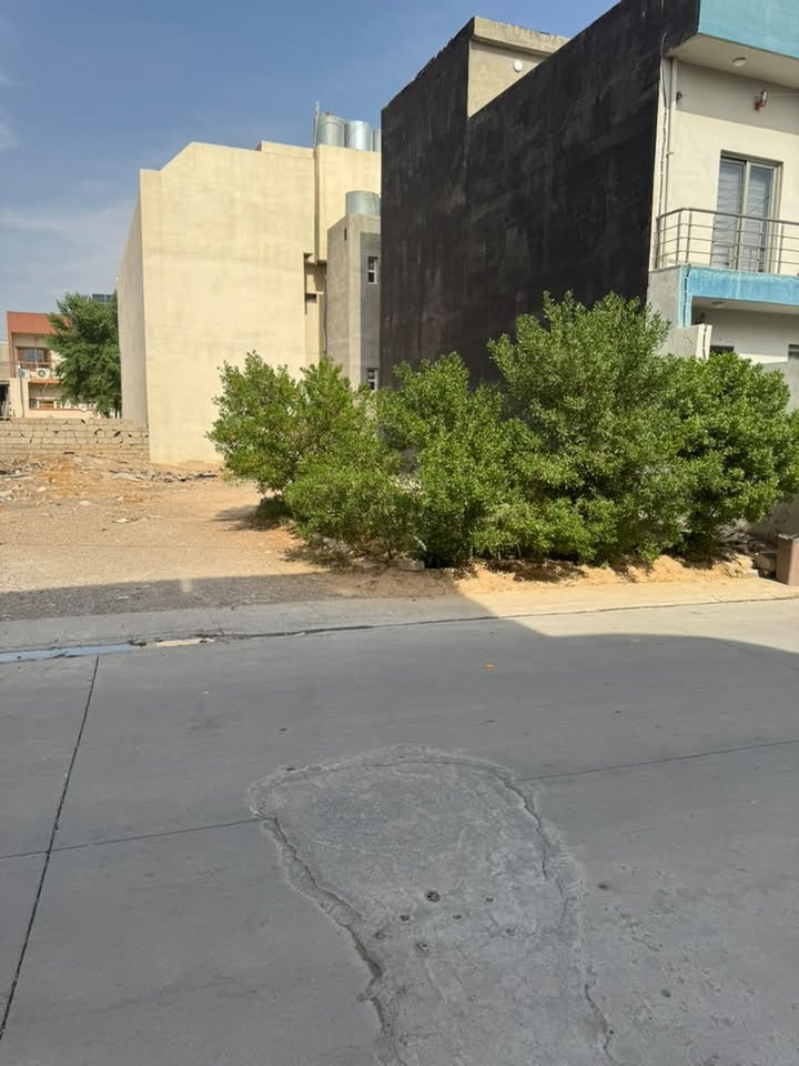 طابو صرف باسمي • ١٢٥م • حي واسطي