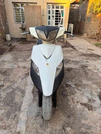 ثعلب • نضيفه • حالة الوكاله