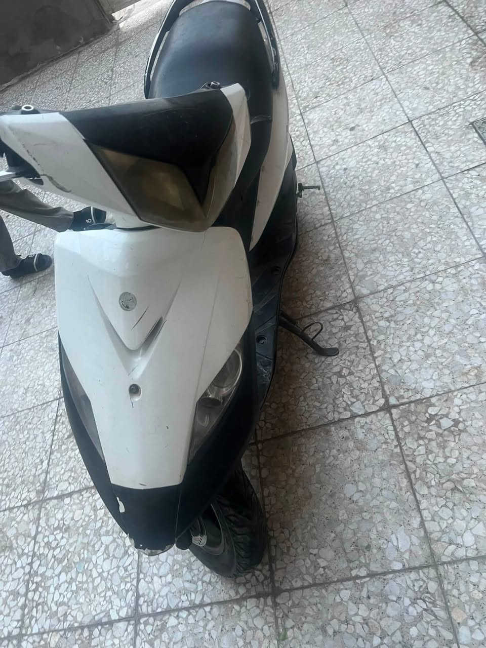 ثعلب • ١٤٠ • بغداد