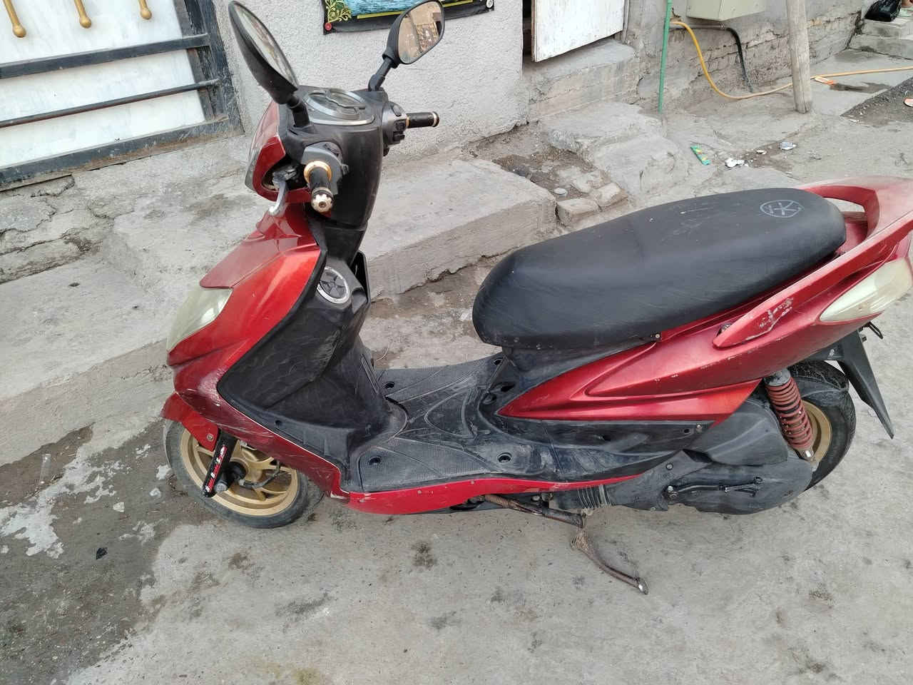 سلام عليكم سكنز فحل للبيع بلادي دراجه جديده وين ميعجبك افحص شراي بخدمته ***********
