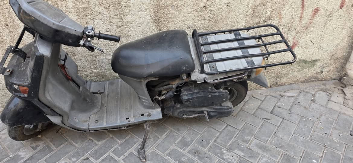 شغاله • جير • مدينه الصدر