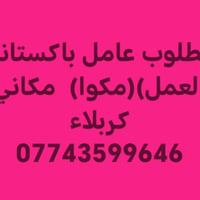 عامل باكستاني • مكواة • كربلاء