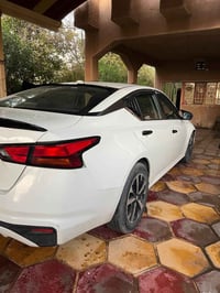 التيما • ٢٠٢٠ • ضرر