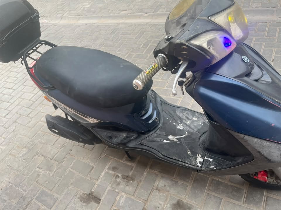 بريز بغبغاء • نضيفة • بلادية