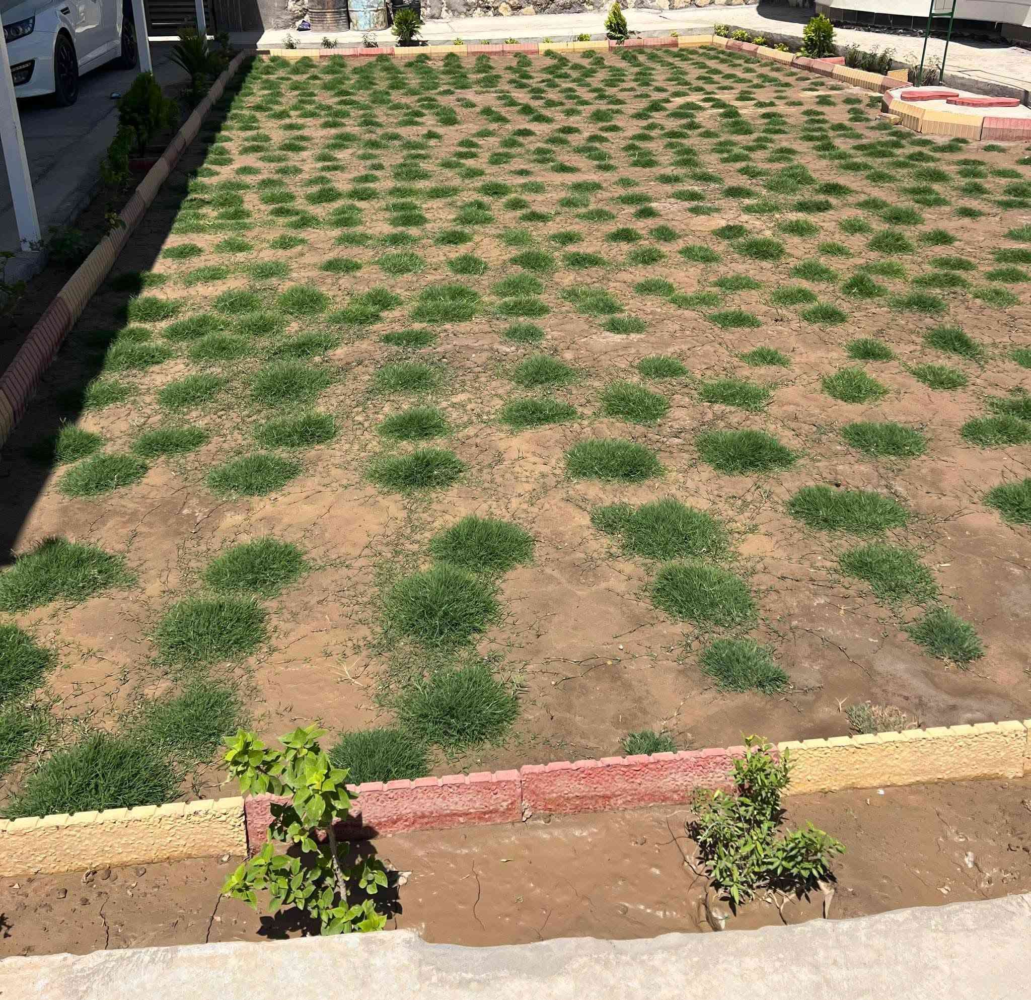 لعمل الديكور اتصل على الرقم ***********
🍃مستـعدون🍂 ، لـترتيب🐦 الحدائق المنزلية 🏝️🏘️ ودوائر الدوله والمتنزهات  مايخص الحدائق العامة
وزراعة النباتات، 🌾🌴🌱والازهار، 🌼🌺🌻وقص الثيل.🌾🌾
وعمل الديكورات والتصاميم،الحديثة للحدائق،وعمل  الحدائق، بواسطة الاحجار الملونة
