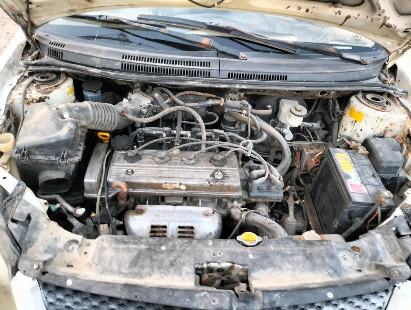 للبيع: جيلي سيدان موديل [2011]
​النوع: جيلي (Geely)
​الطراز: MK
​المحرك: 1.6 لتر، 4 سلندر
​ناقل الحركة: يدوي (مانيوال)
​اللون: أبيض
​اللوحة: بابل القاسم  جمعيه ( العراق)
​حالة السيارة:
السيارة بحالة ميكانيكية جيدة، تعمل وتسير بشكل نظامي. المحرك والجير بحالة ممتازة. السيارة بحاجة لبعض الاهتمام التجميلي البسيط (سمكرة وبويا وتنظيف داخلي) لتصبح بحالة مثالية.
​
​يوجد بعض الصدأ في الرفارف الخلفية كما هو معتاد في هذا الموديل.

كامل الاوراق اصوليه وكامله  وصاحب السياره من اهالي الديوانيه ويمكن التحويل بالاتصال مع صاحب السياره الاصلي ونطيك رقم المالك الاصلي بعد الشراء 

​السعر المطلوب:
25 ورقة 
السعر قابل للتفاوض للجادين بالمعقول.
​
للتواصل والاستفسار:
يرجى الاتصال على الرقم: [***********]
(متوفر أيضًا عبر واتساب)