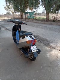 بوتين اكسن • فول • مكينه شرط