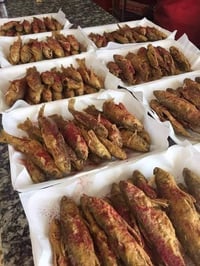 حرش • كيلوين • توصيل مجاني