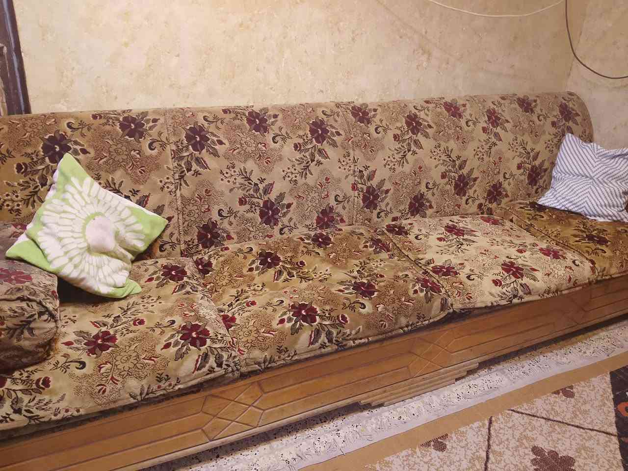 السلام عليكم تخم قنفات للبيع للاستفسار *********** السعر من 350وبي مجال
