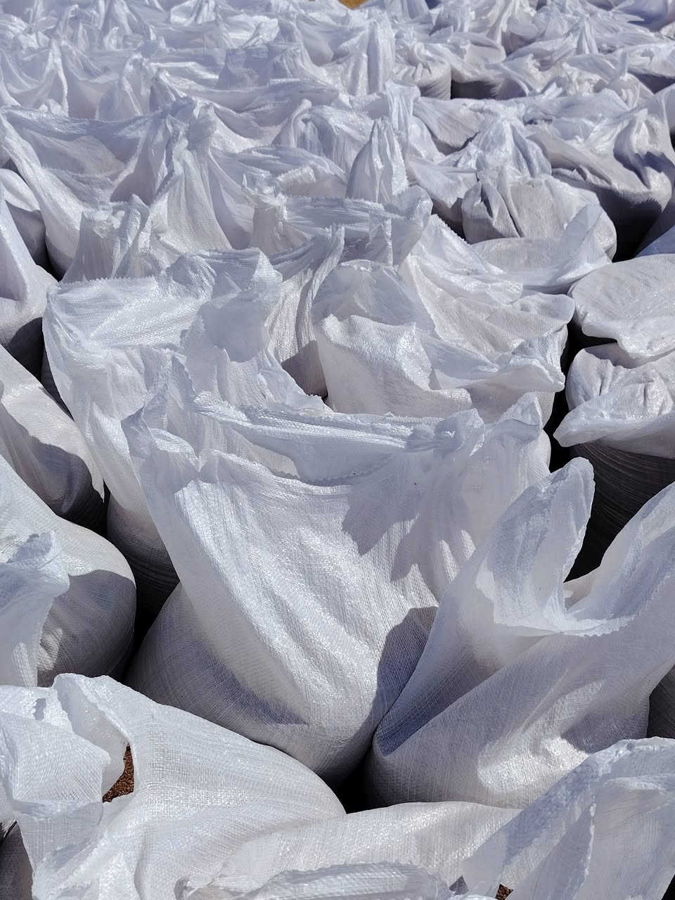 السلام عليكم
حنطه للبيع 
نوعيتين. نزار مع البا
بذور. 
للتواصل. ***********
اتصل وتدلل.
