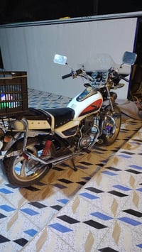 جونده • ٢٠١٦ • اوراق