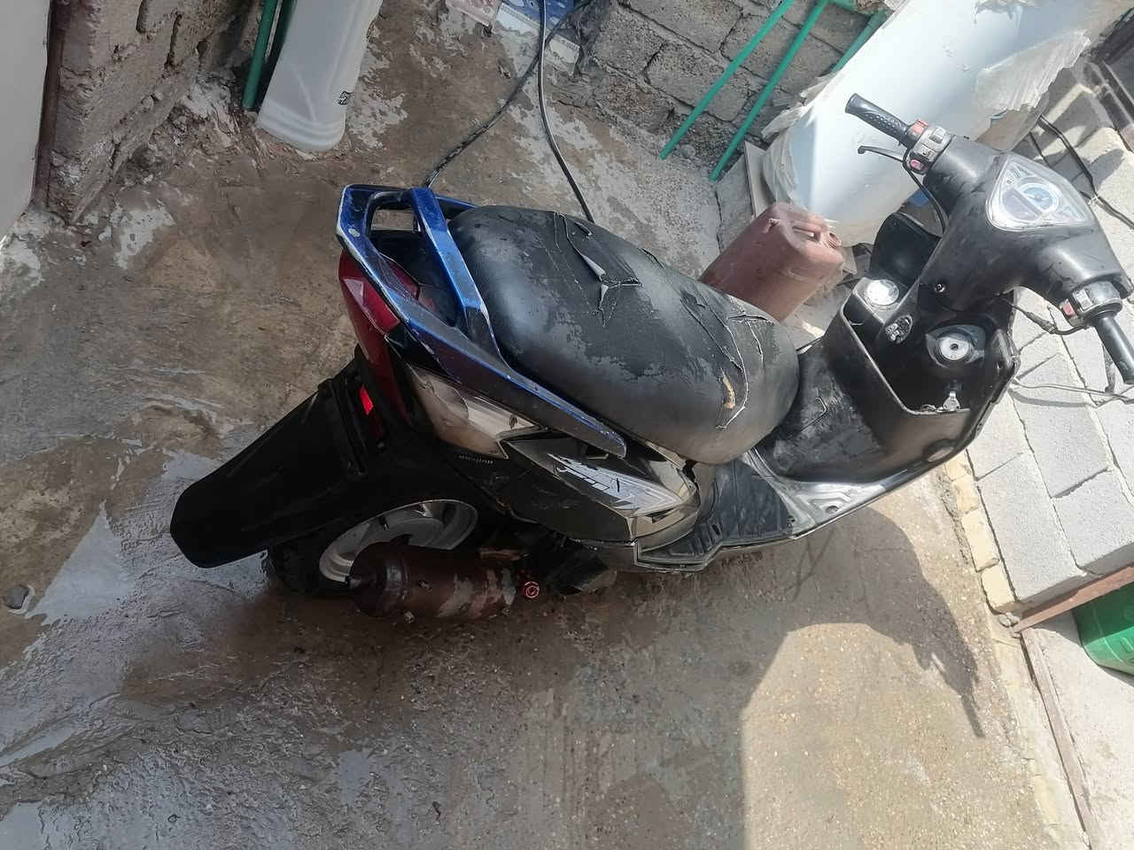 جي فور • ستوته • شغالة