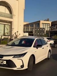 كورلا هايبرد • ٢٠٢٤ • رقم بغداد