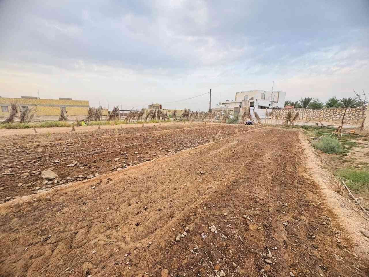 دونم ونص • طابو سند 25 • شارع نجف كربلاء