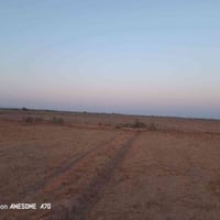 كاع البيع 60دونم العنوان كوت دجيلي قرب قريت جاسم محمد الرحم استفسار عن...