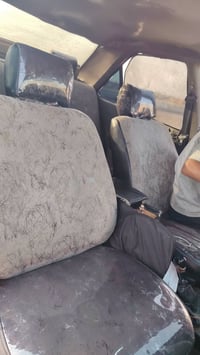 بيجو بارس • ٢٠١٣ • خاص