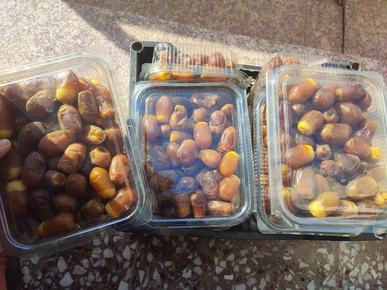 رطب • برحي • كربلاء الحسينيه