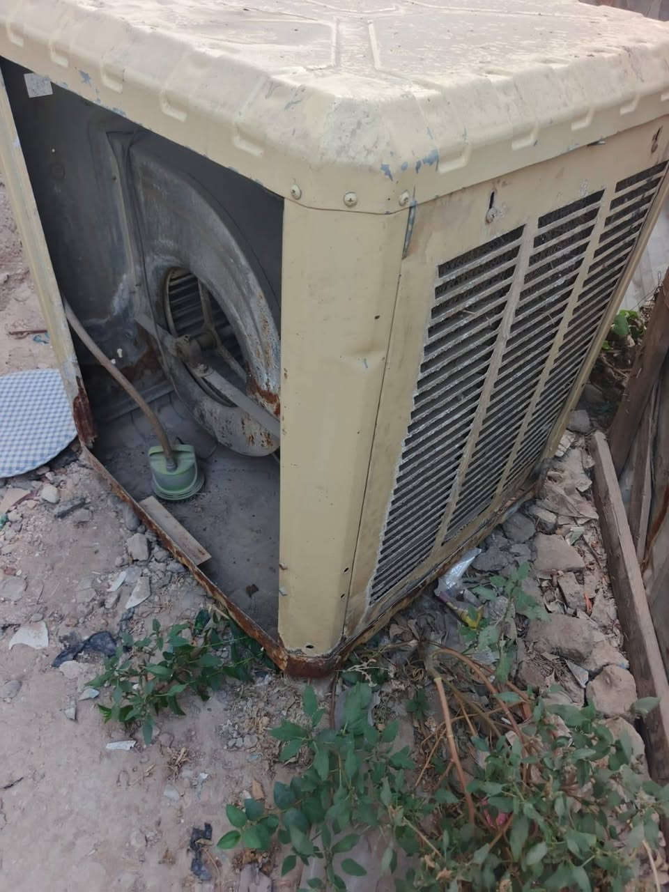 (مبرده + كنفيره صغيره) للبيع كاملات بدون نقص وشغالات بس عوزهن تنضيف ثنينهن سعرهن ١٠٠ الف دينار مابيع وحده  الثنين شلع ب١٠٠ اني مكلف بنشر هاذه رقم صاحبهن ***********
عنوان الغزالية 
(مبرده + كنفيره صغيره) للبيع كاملات بدون نقص وشغالات بس عوزهن تنضيف ثنينهن سعرهن ١٠٠ الف دينار مابيع وحده  الثنين شلع ب١٠٠ اني مكلف بنشر هاذه رقم صاحبهن ***********
