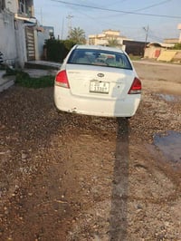اسبكترا • ٢٠٠٩ • صبغ عام