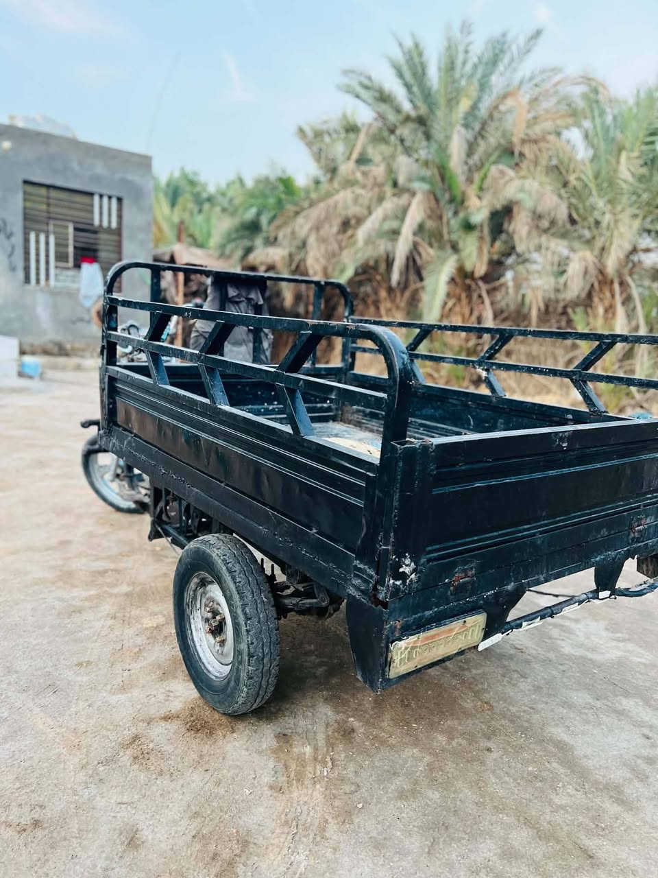 ستوته • ٢٠١٢ • اوراق