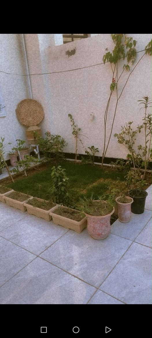 دار البيع نجف حي ميسان زراعي ميسان خلف سكلت الكرعاوي
مساحه 125متر
موصفات غرفه و صاله و مطبخ و ستقبال و صحيات
بناء جناي بناء جديد صب كونكريت 
شارع 13متر
سعر 45 مليون معه المجال 
الاستفسار ***********
