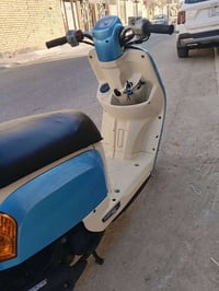 بوليسي • مطلية كريمي • 15يوم