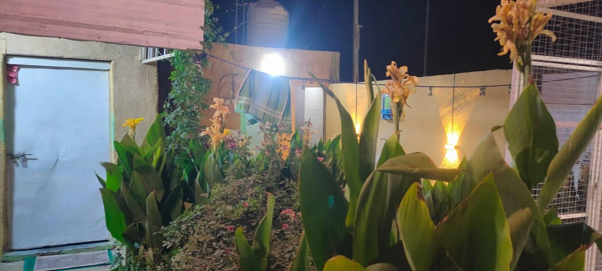 بيت ميتين متر بل موفقيه عل حولي مال حي الغدير علمن البيت تسجسل جديد اتصل وتدلل مناسب غرفتين نوم ما كاملات هوال زاد مطبخ زاد استقبال زاد كراج كاملات البيت مرتب وحلو وعل شارع 
***********
