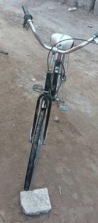 باسكل • حجم ٢٧ • موديل ١٥