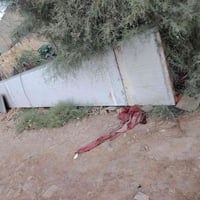 للبيع سندويج عشر قطع خمسة طول سته وخمسه طول ١٢ متر  وياهن شخاطات للبيع...