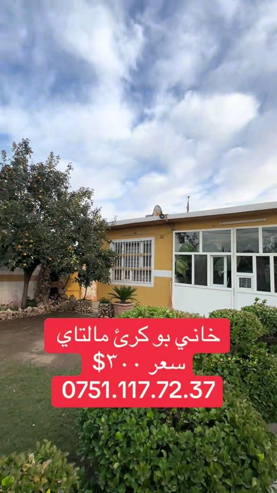 خانی بوکرئ مالتای • ايجار • الشعب الصيني