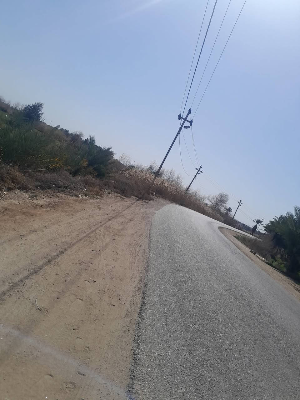 الصقلاوية حويوة • ٤ دوانم • عقد زراعي ١١٧
