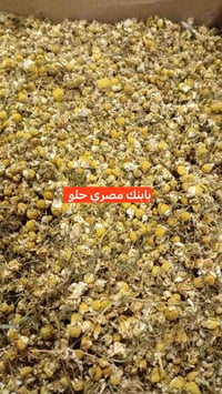 معشب وعطارية • أعشاب وزيوت • صلاح الدين العلم