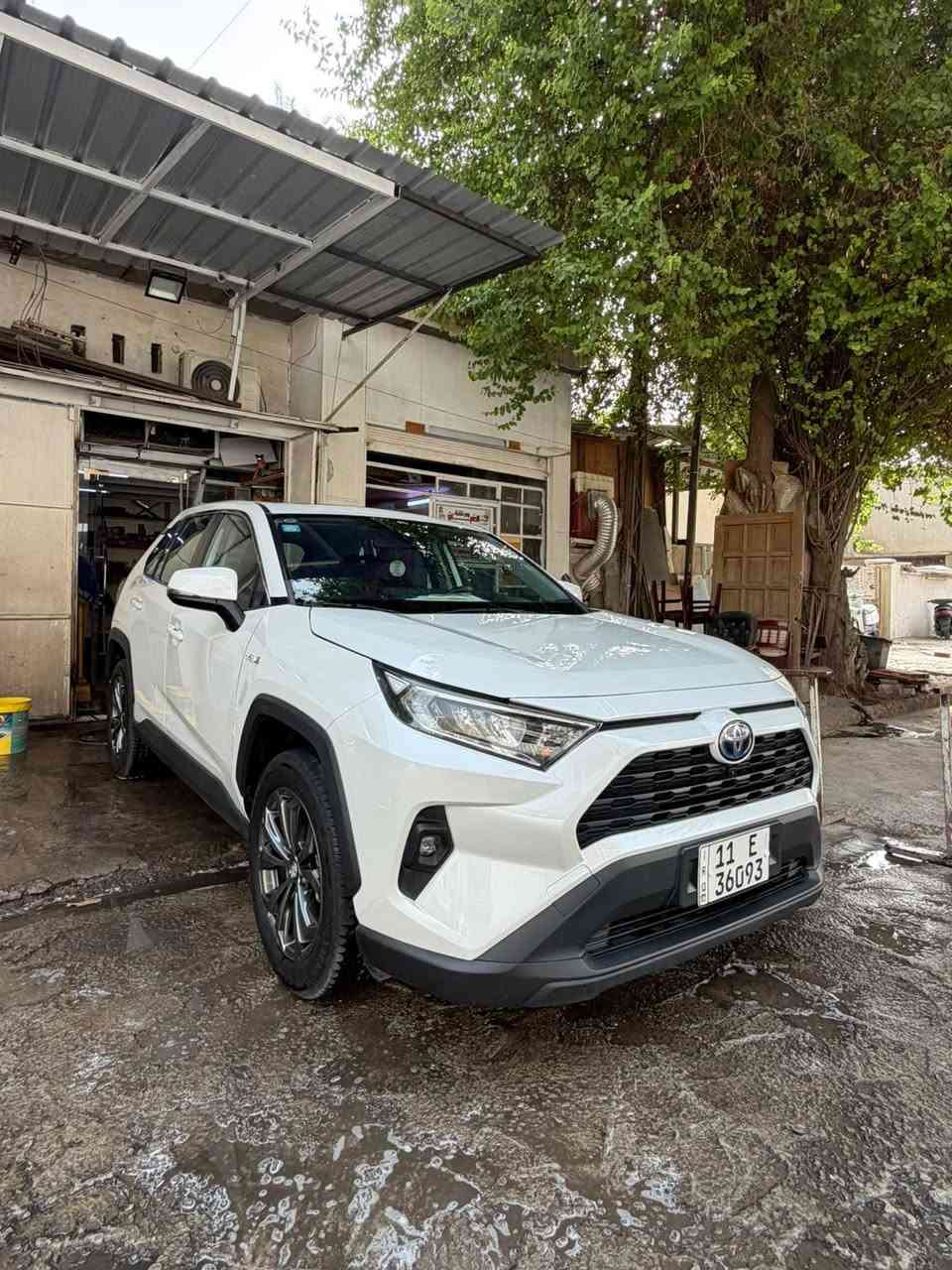 راف فور هايبرد • ٢٠٢٣ • رقم بغداد