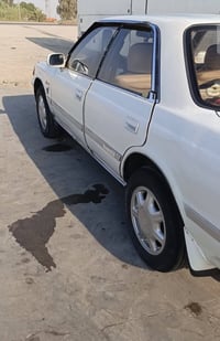 مارك • الحميدية • سعر خويه
