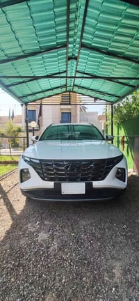 توسان • ٢٠٢٣ • ماشية ٤٣٠٠٠