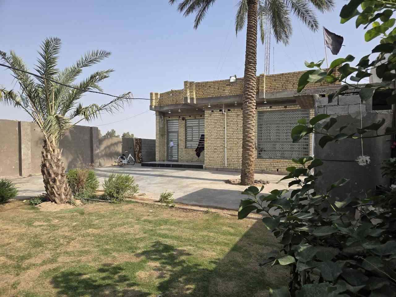 كوت الحكيم ٢ • دونم • بيت عالشط