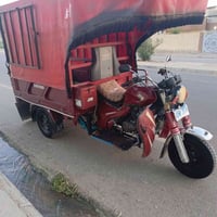 ستوته سيڤان • ٢٠٢٠ • شاصي شرط