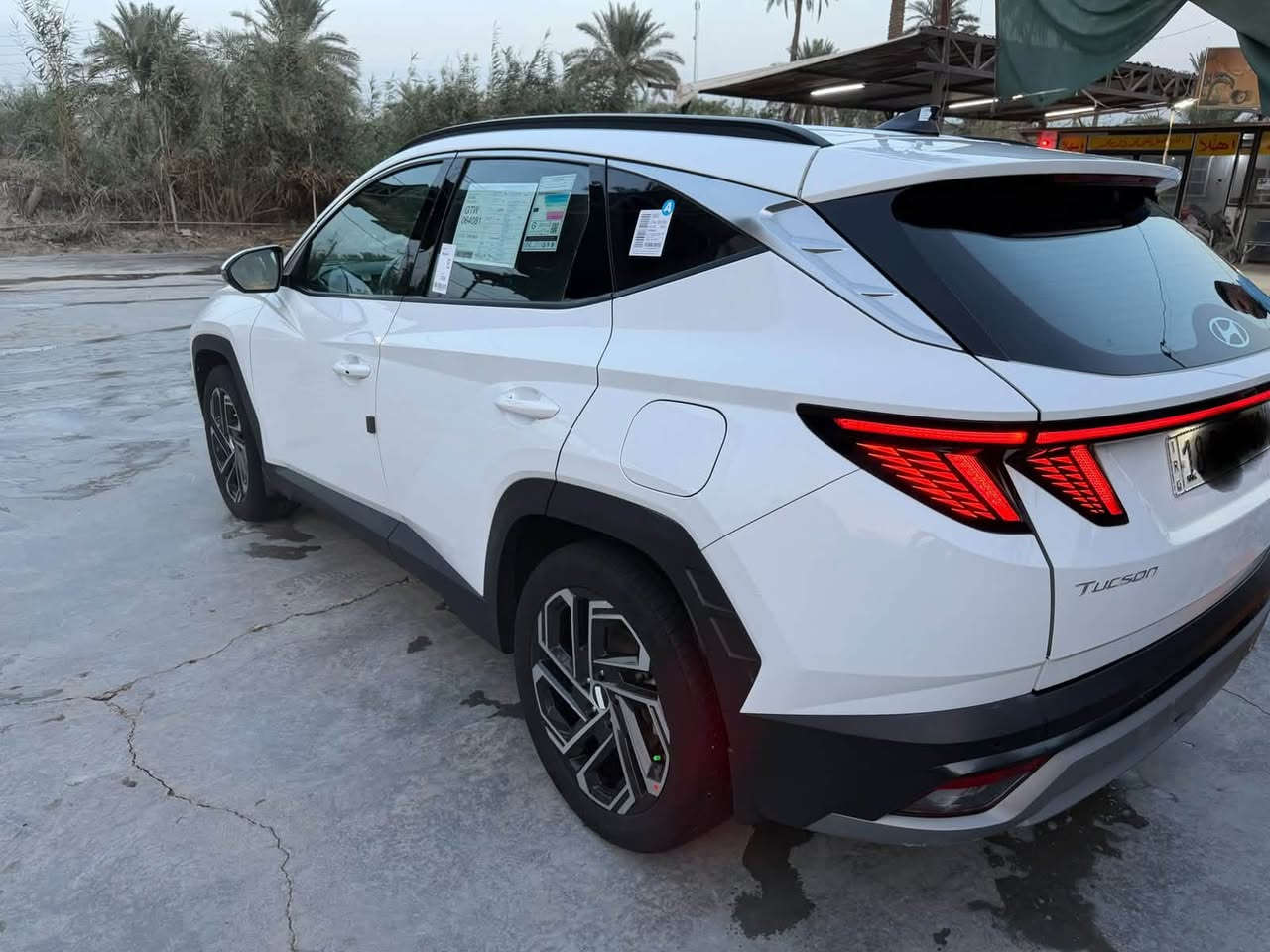 توسان • ٢٠٢٥ • رقم بابل