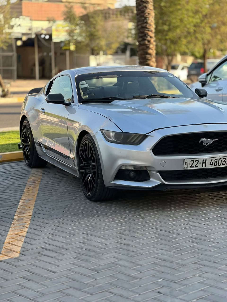موستنك ايكو بوست • ٢٠١٧ • رقم اربيل