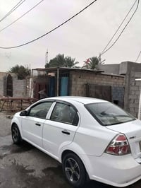 افيو • ٢٠١١ • وارد خليجي