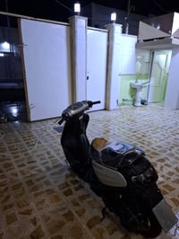 نحلة • خمس • كله شغال