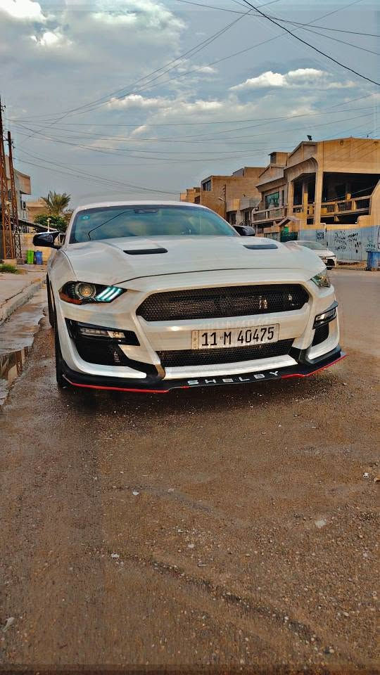 موستنك GT • ٥.٠ V8 • ١٥ ألف كم