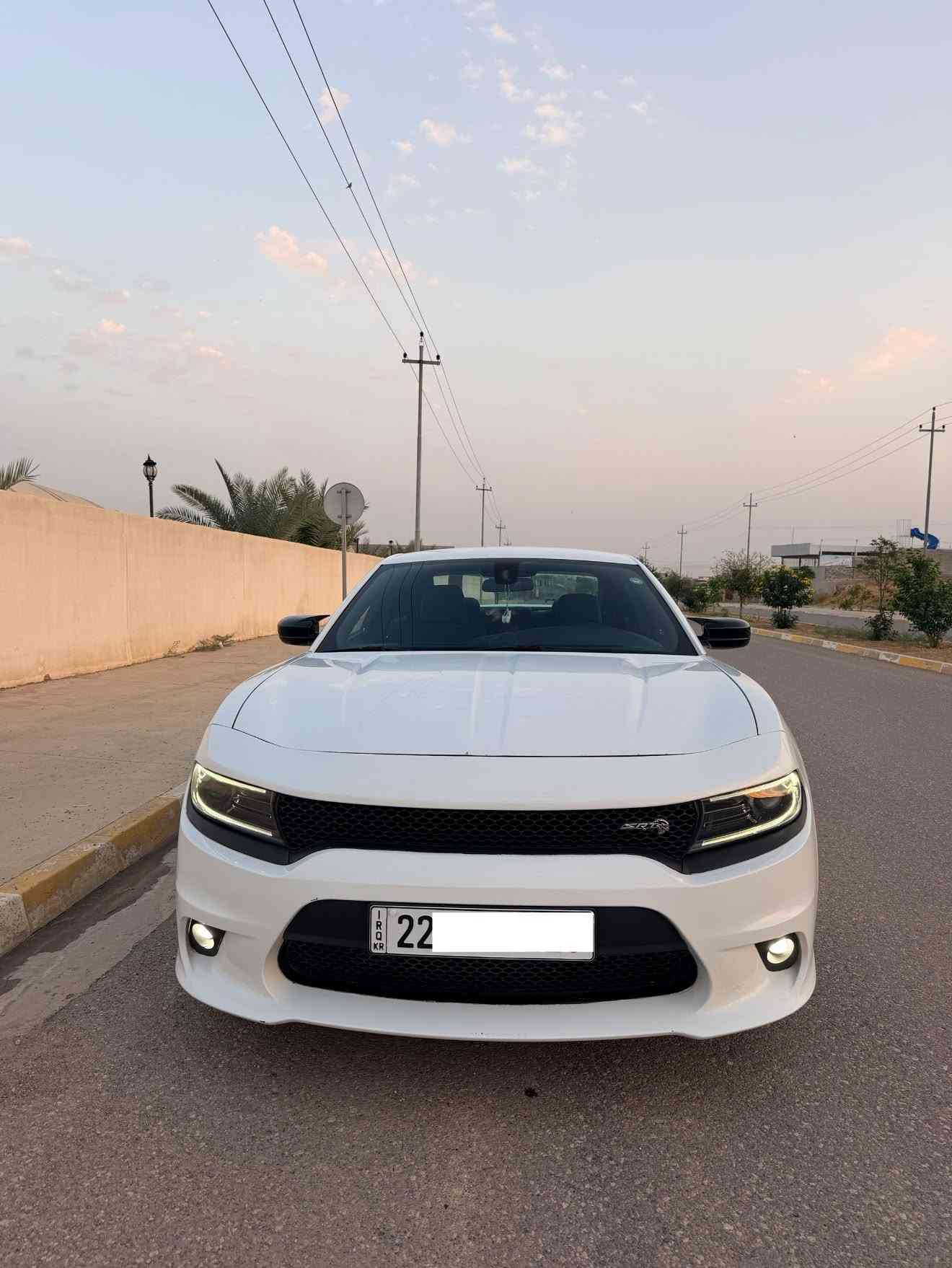 تشارجر SXT • ٢٠١٩ • رقم اربيل